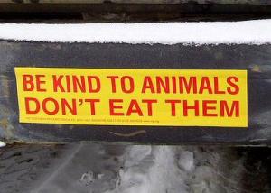 vegan, bumper sticker, be kind to animals