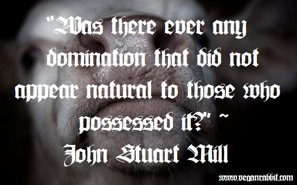 cow john stuart mill quote was there ever any domination tht did not appear natural to those who possessed it