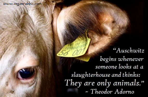 auschwitz begins whenever someone looks at a slaughterhouse and thinks they are only animals theodor adorno