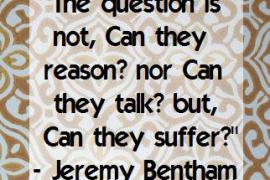 the question is not can they reason nor can they talk but can they suffer?