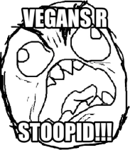 vegans are stupid